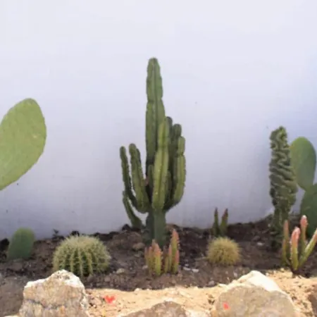 House Of Nikol - Cycladic Sensation Ано Мера